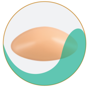 Symmetrical & Asymmetrical Forms